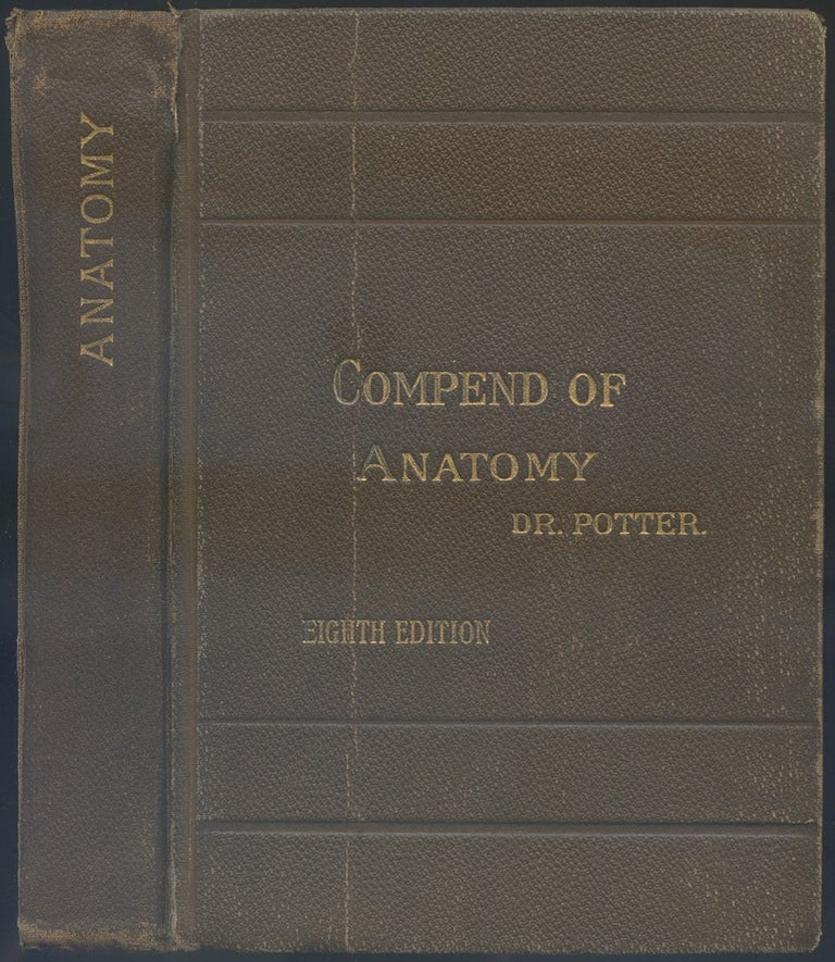 Item #162125 Potter's Compend of Human Anatomy: Eighth Edition. D. Gregg METHENY, revised by.