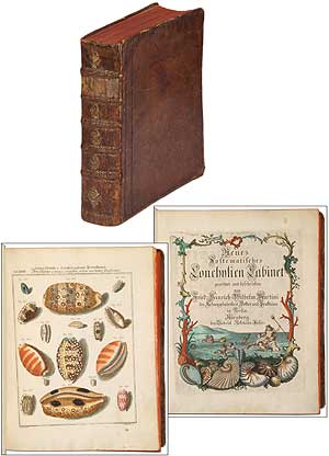 Item #288623 Neues Systematisches Conchylien-Cabinet [Volume One Only]. Friedrich MARTINI, J H. Chemnitz.