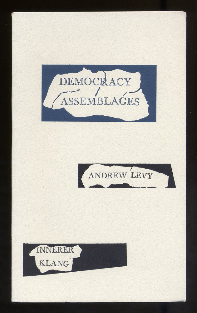 Item #314709 Democracy Assemblages. Andrew LEVY.