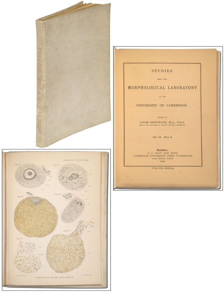 Studies from the Morphological Laboratory in the University of Cambridge. Vol. IV. Part 3. Adam SEDGWICK, W L. Sclater.