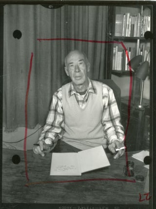 A Collection of Photo Negatives