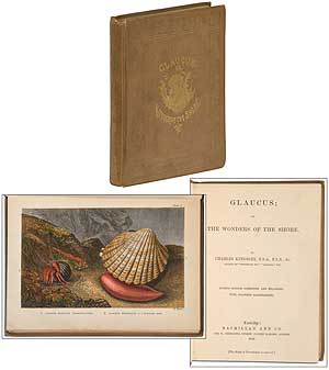 Item #327183 Glaucus; or, The Wonders of the Shore. Charles KINGSLEY.