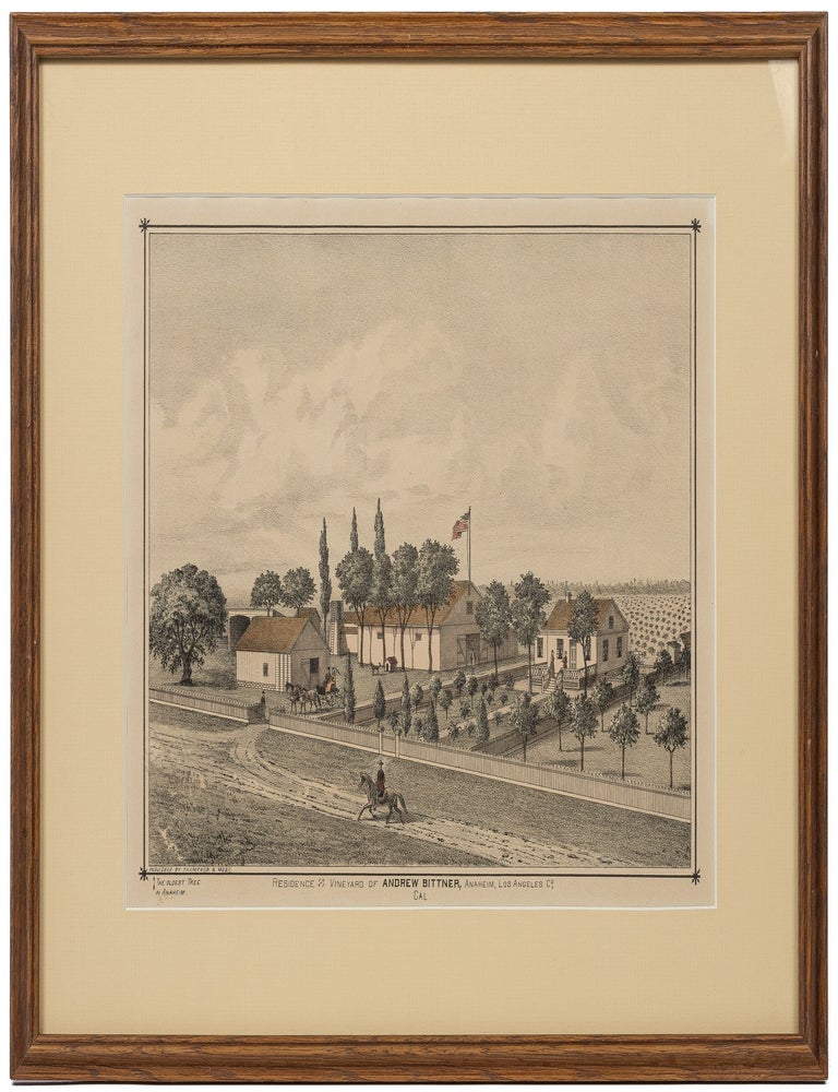 Framed Lithograph]: Residence and Vineyard of Andrew Bittner, Anaheim, Los Angeles Co, Cal. Andrew BITTNER.