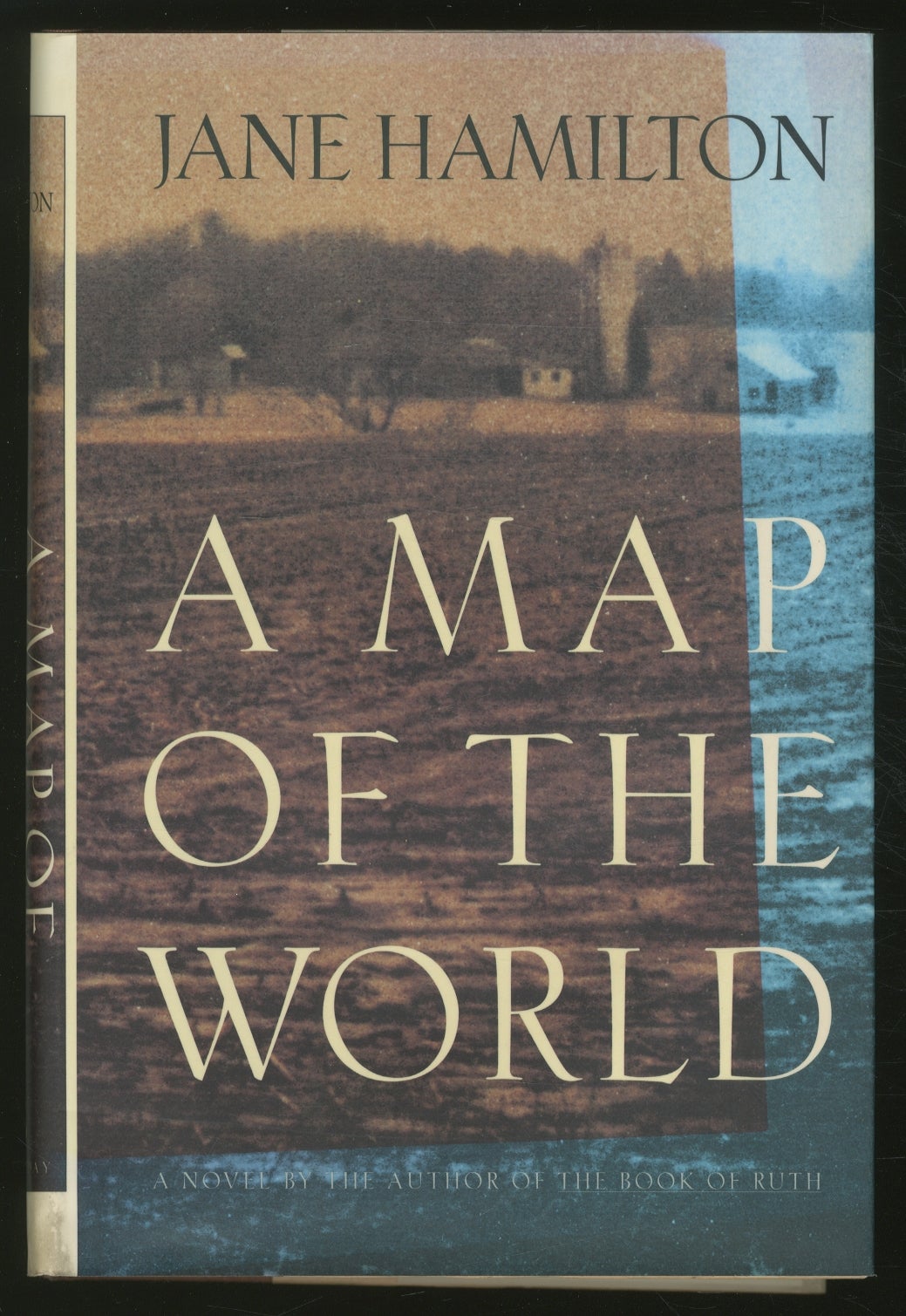 A Map of the World  Jane HAMILTON