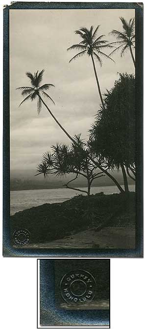Item #368348 Photographic Image of Hawaii. A. R. GURREY, Jr.