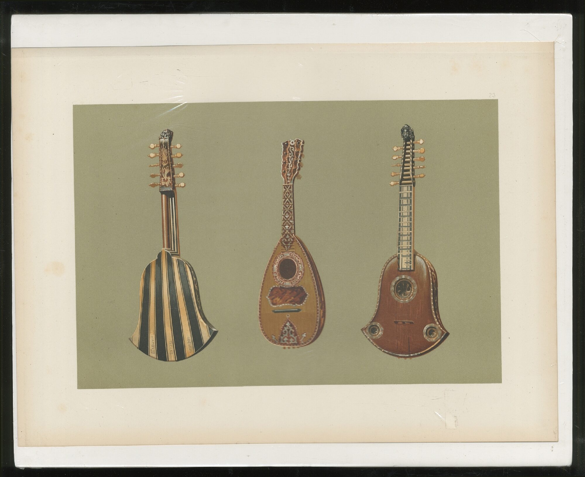 Quinterna Instrument Color Lithographic Print : Quinterna and Mandoline from Musical ...