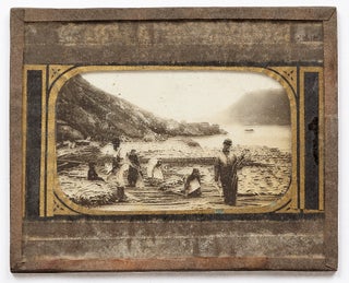 Isaac Holden’s Glass Lantern Slide Shows: Specimens of North American Marine Algae and Views of Newfoundland: circa 1885-1897