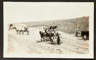 [Photo Album]: 1930’s Ranch Life in the Black Hills of South Dakota