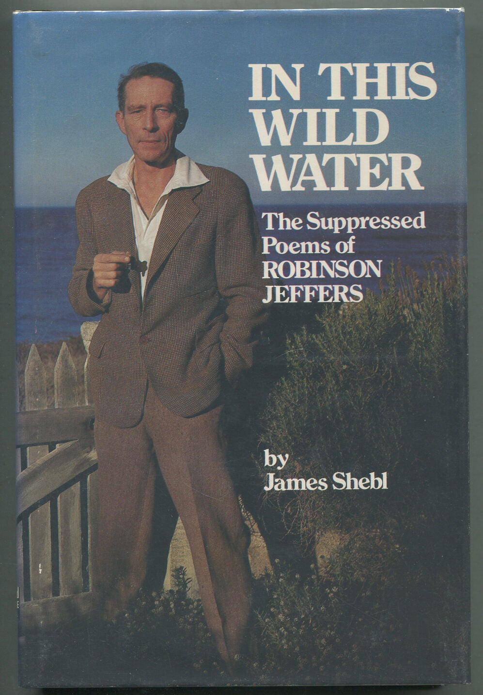 In This Wild Water: The Suppressed Poems of Robinson Jeffers | James SHEBL