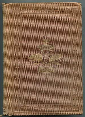 Item #406518 Stories of the Woods; or, Adventures of Leather-Stocking. James Fenimore COOPER.