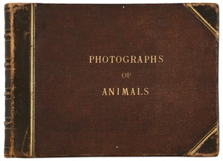 Item #412312 [Photograph Album]: Images of the Animals of the Breslau Zoo in Prussia. Circa...