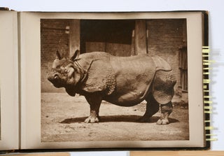 [Photograph Album]: Images of the Animals of the Breslau Zoo in Prussia. Circa 1880s