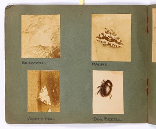 (Photo albums): Botany, Bugs, and Birds. Circa 1900