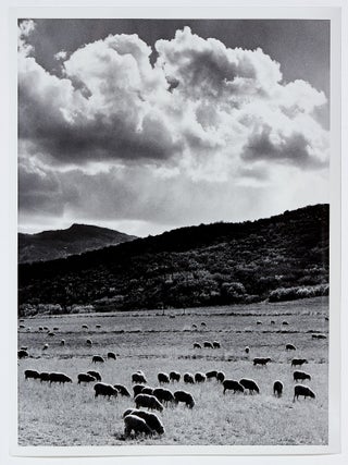 The Grant M. Haist Collection of Eastman Kodak Working Journals, Black & White Photographs and Negatives, Color Transparencies, and Related Materials (1940s – 1980s)