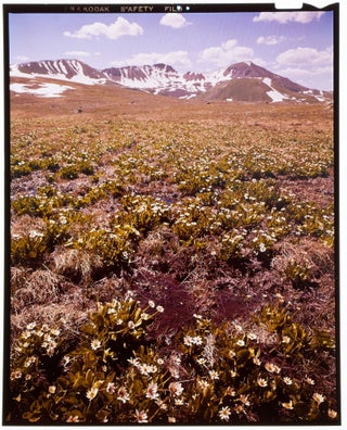 The Grant M. Haist Collection of Eastman Kodak Working Journals, Black & White Photographs and Negatives, Color Transparencies, and Related Materials (1940s – 1980s)