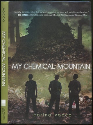 My Chemical Mountain. Corina VACCO.
