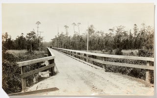 (Photo album): Professional Nature Photography of Florida's National Forests in 1920