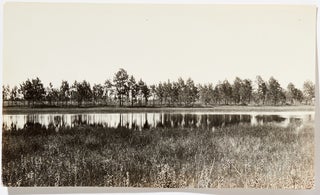 (Photo album): Professional Nature Photography of Florida's National Forests in 1920