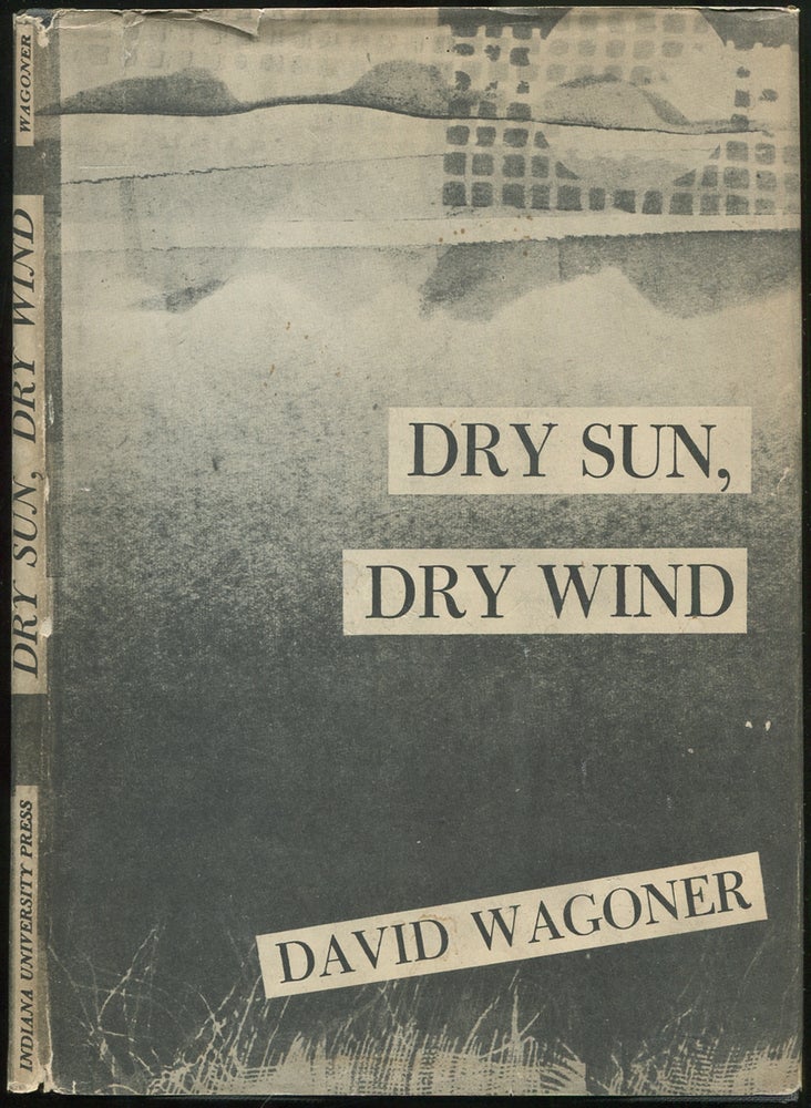 Item #434180 Dry Sun, Dry Wind. David WAGONER.