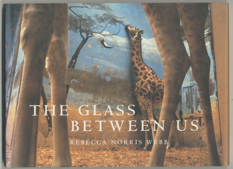 Item #445120 The Glass Between Us: Reflections on Urban Creatures. Rebecca Norris WEBB.