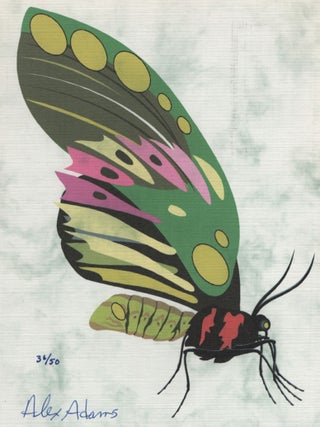 The Drunk Butterfly