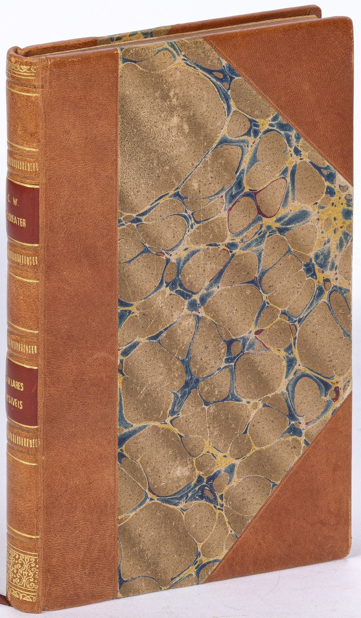 Auxiliares Invisiveis Invisible Helpers | C. W. Fernando Pessoa LEADBEATER