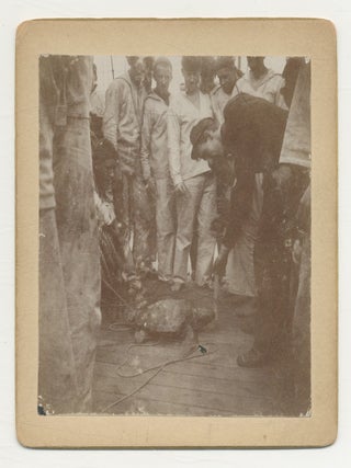 53 Photographs onboard U.S.S. Enterprise, 1888-1890