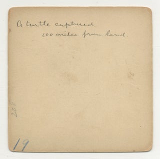 53 Photographs onboard U.S.S. Enterprise, 1888-1890