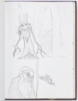 Four Graffiti Writer Black Books, Along with more than 250 Photographs