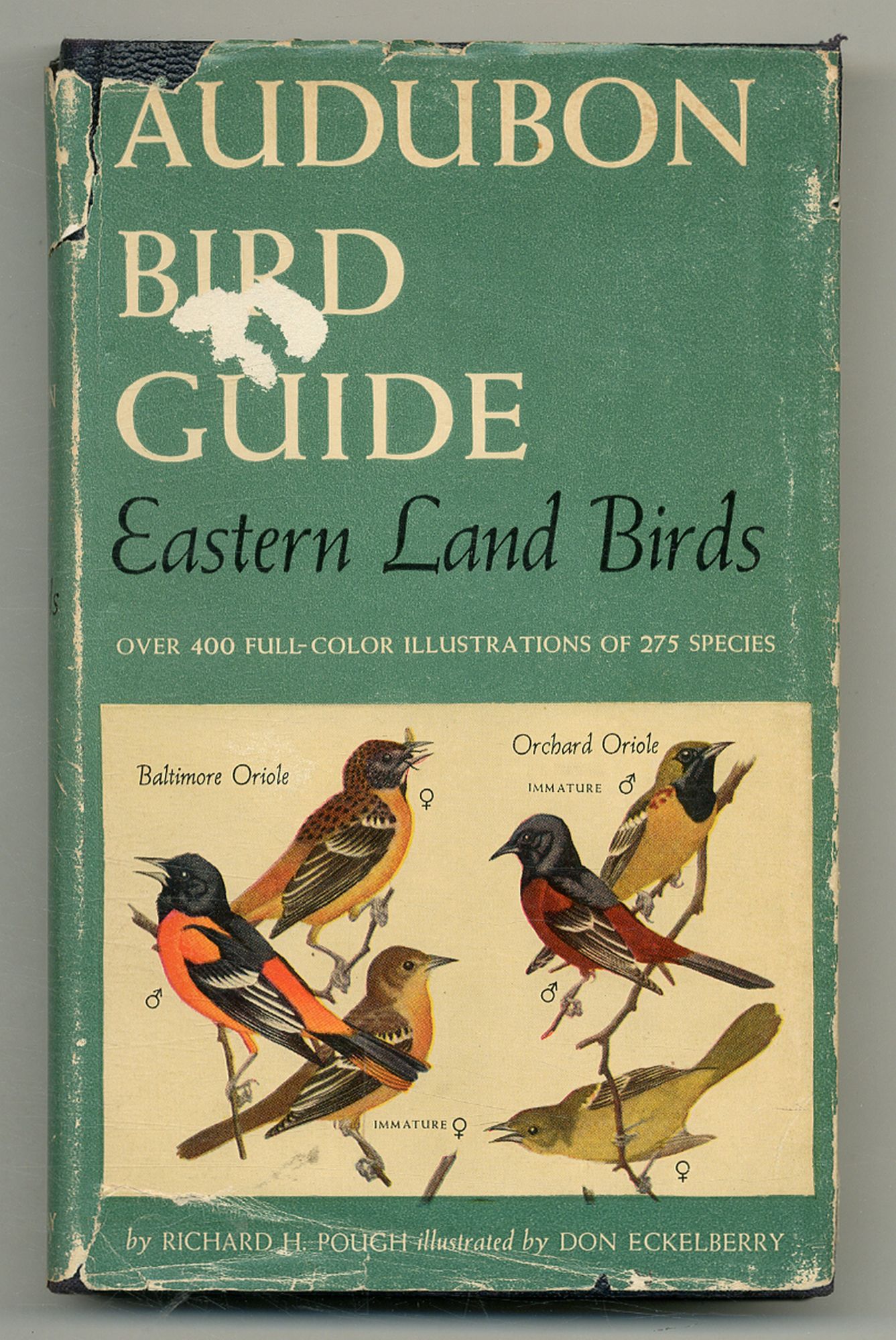 Audubon Bird Guide: Eastern Land Birds | Richard H. POUGH