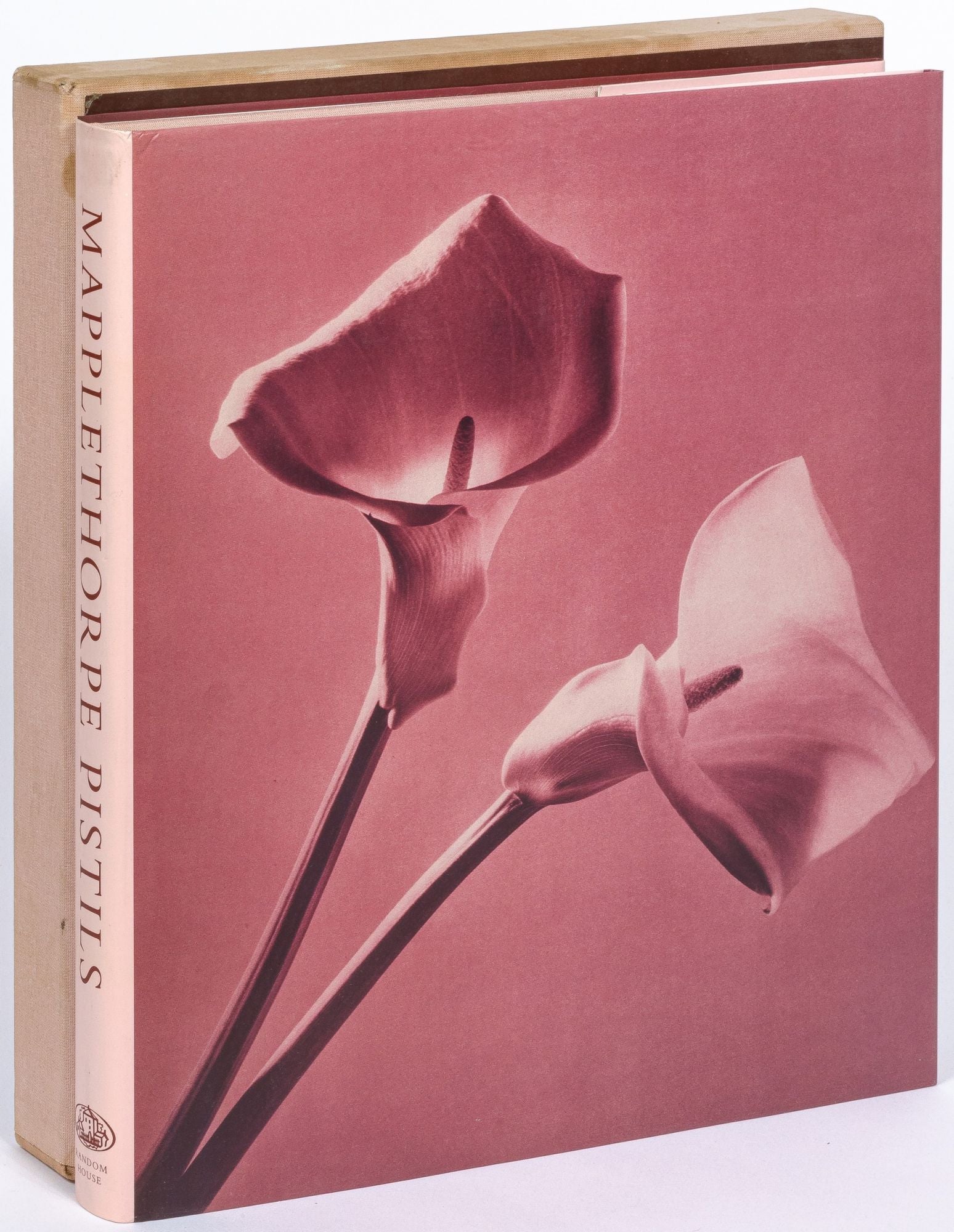 Pistils by Robert MAPPLETHORPE on Between the Covers