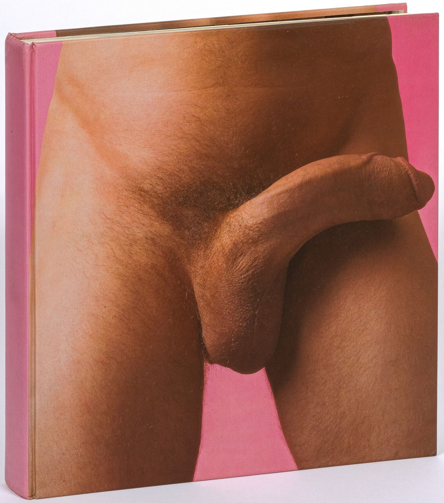 The Big Penis Book by Dian HANSON on Between the Covers