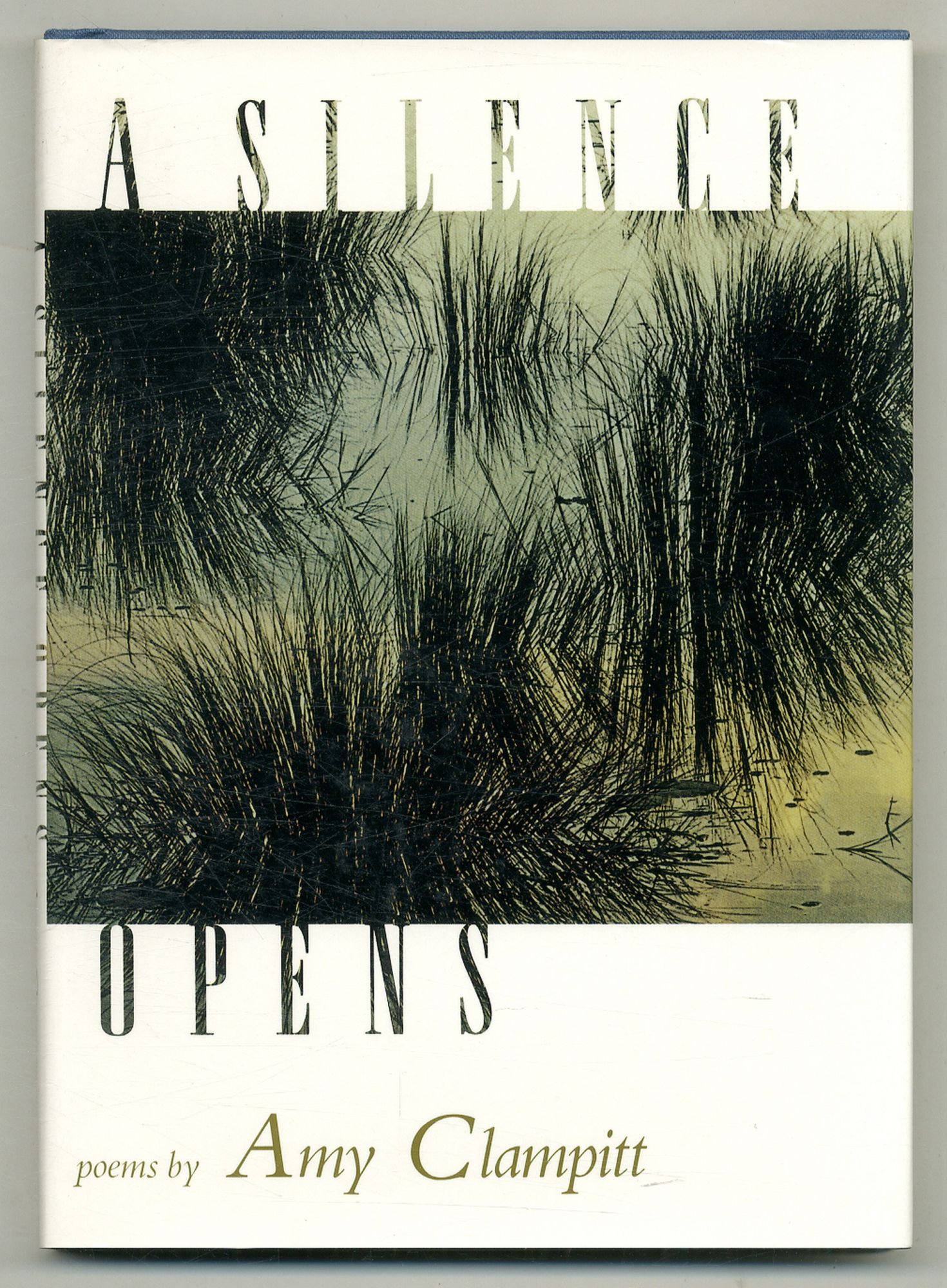 A Silence Opens: Poems | Amy CLAMPITT