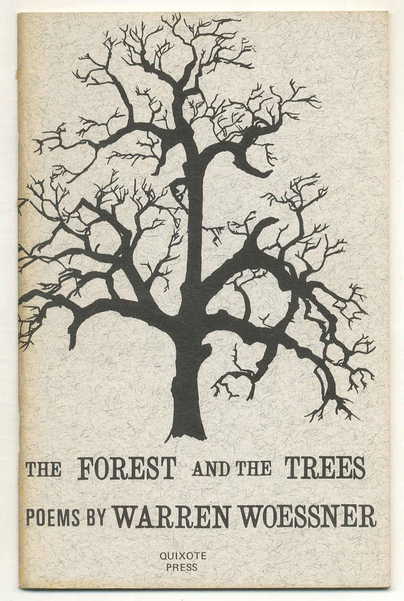The Forest and the Trees | Warren WOESSNER