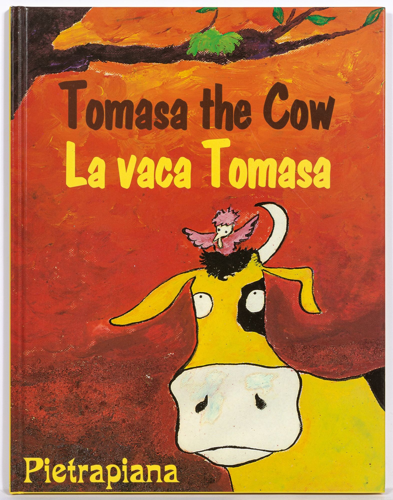 Archive : A Collection of 23 Bilingual Children's Book by Piñata Books ...