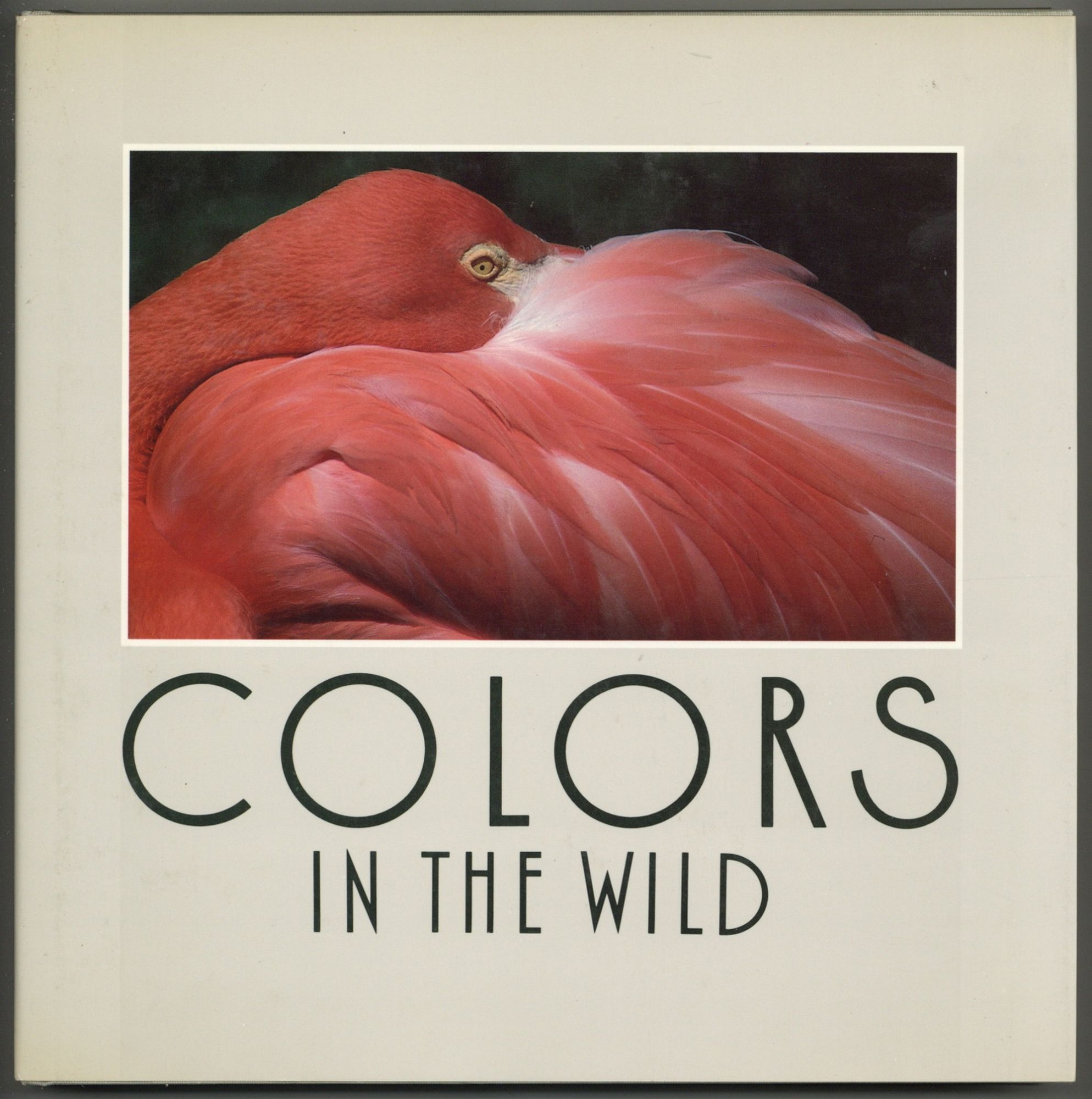 Colors in the Wild | Howard F. ROBINSON