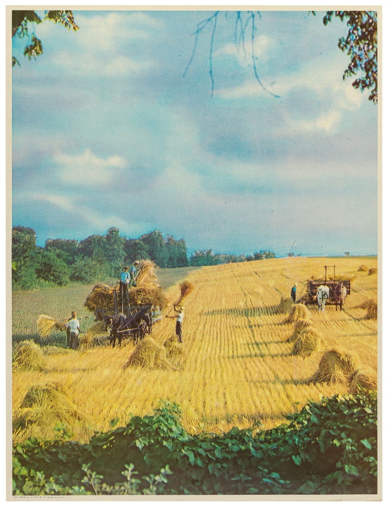 Item #598430 [Poster]: Wheat Harvest