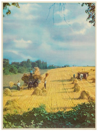 Item #598430 [Poster]: Wheat Harvest