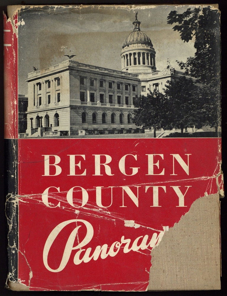 Bergen County Panorama