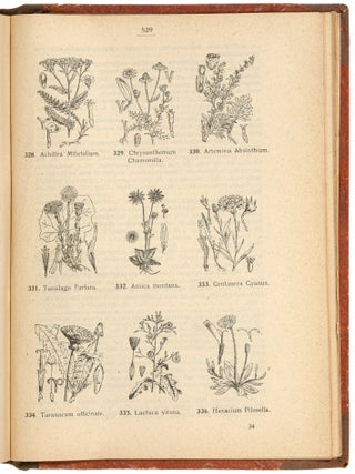 Opredielitel vysshikh rastenii evropeiskoi Rossii. (Kromie Kavkasa i poliarnoi Rossii) [Guide to Higher Plants of European Russia. (Except for the Caucasus and Polar Russia)]
