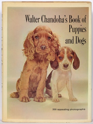 Item #613434 Walter Chandoha's Book of Puppies and Dogs. Walter CHANDODA