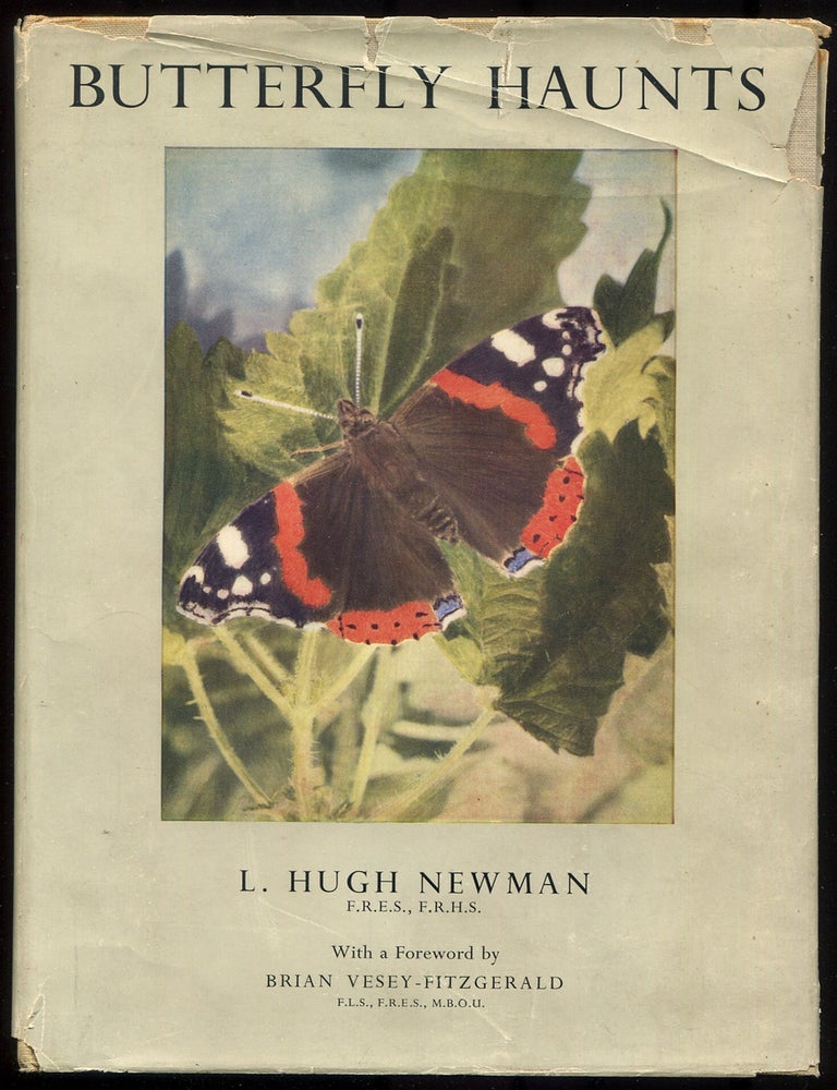 Item #617484 Butterfly Haunts. L. Hugh NEWMAN.