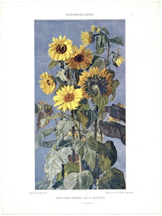 Dekorative Vorbilder: Eine Sammlung Von Fig&uuml;rlichen Darstellungen, Kunstgewerblichen Verzierungen, Plastischen, Ornamenten, Dekorativen Tier- Und Pflanzen-Typen, Allegorieen, Heraldischen Motiven, Troph&auml;en Etc. Fur Zeichner, Maler, Graphische K&uuml;nstler, Dekorateure, Bildhauer, Architekten: Sechzehnter Band [Incomplete 37 plates only in original folder]