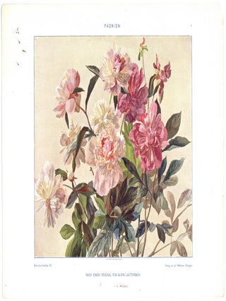 Dekorative Vorbilder: Eine Sammlung Von Fig&uuml;rlichen Darstellungen, Kunstgewerblichen Verzierungen, Plastischen, Ornamenten, Dekorativen Tier- Und Pflanzen-Typen, Allegorieen, Heraldischen Motiven, Troph&auml;en Etc. Fur Zeichner, Maler, Graphische K&uuml;nstler, Dekorateure, Bildhauer, Architekten: Sechzehnter Band [Incomplete 37 plates only in original folder]