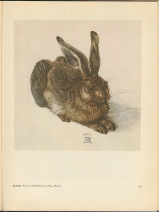 Albrecht Durer: Als Maler Und Als Zeichner
