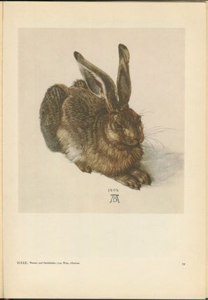 Albrecht Durer: Als Maler Und Als Zeichner