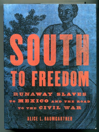 Item #627701 South to Freedom: Runaway Slaves to Mexico and the Road to the Civil War. Alice L....