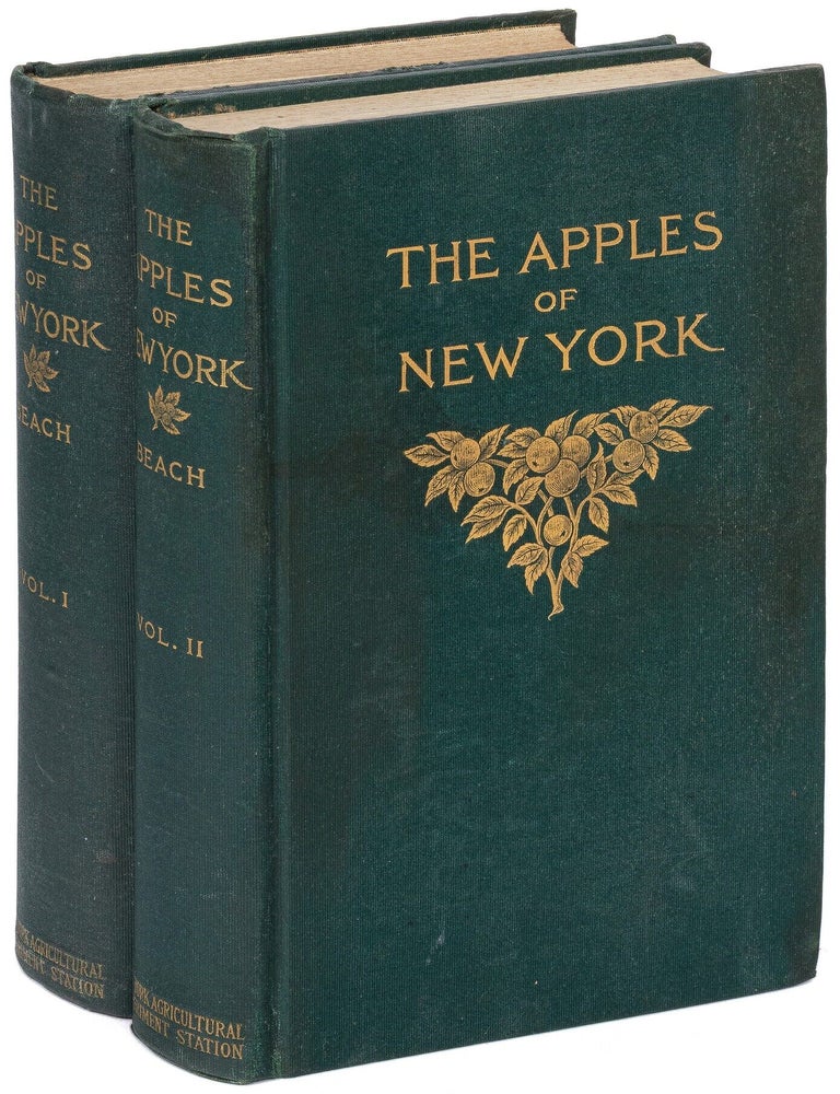 Item #628322 Apples of New York. Two Volumes. S. A. BEACH, O. M. Taylor, N. O. Booth.