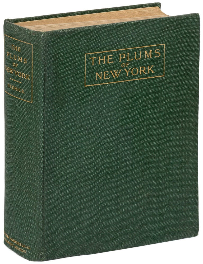Item #628328 The Plums of New York. U. P. HEDRICK.