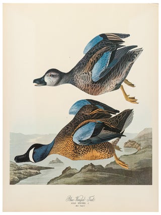 The Audbon Folio [Two Volumes]